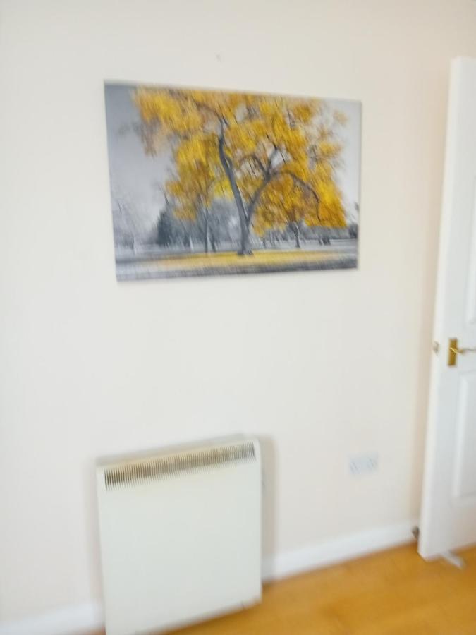 Ensuite Double Room 런던 외부 사진